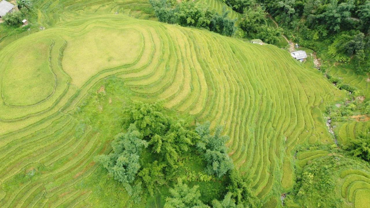 May Homestay Sapa Dış mekan fotoğraf