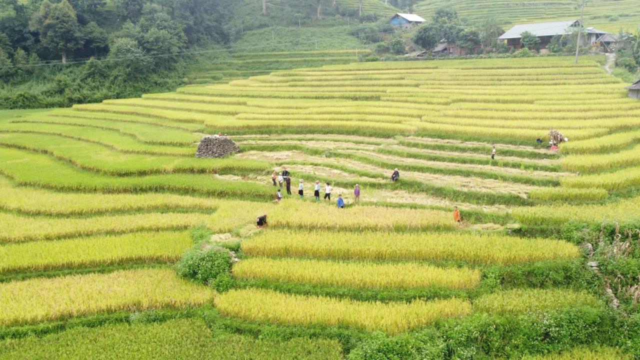 May Homestay Sapa Dış mekan fotoğraf